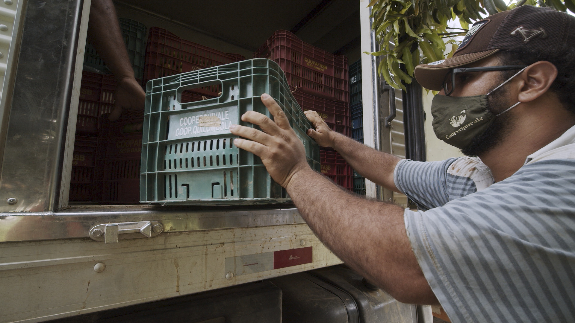 Coleta de alimentos, no Quilombo Porto Velho, que serão distribuídos em favela de São Paulo.  Imagem extraída do filme "Do Quilombo pra Favela"|Manoela Meyer/ISA