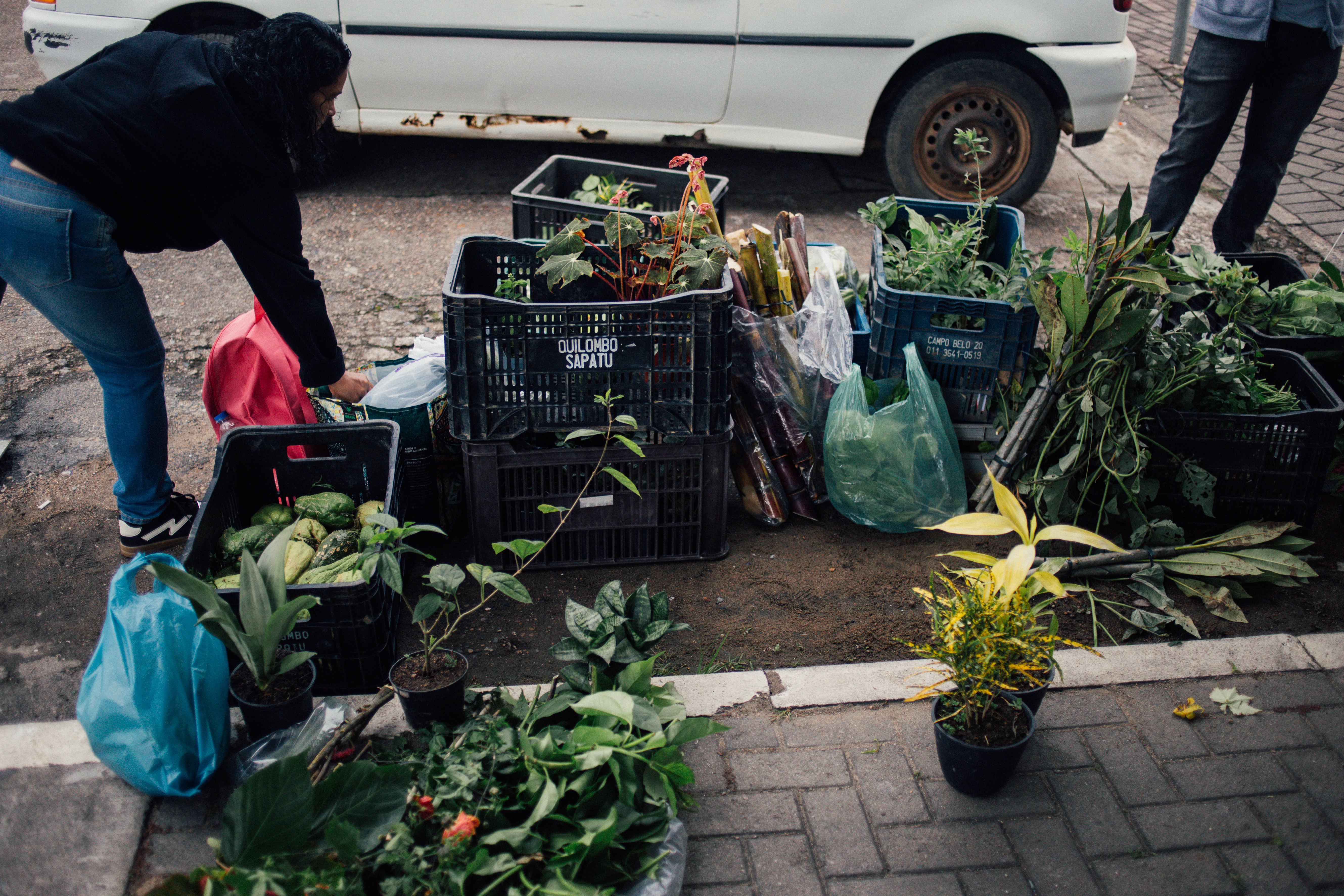Produção das roças na Feira de Sementes do Vale do Ribeira|Julio César Almeida/ISA