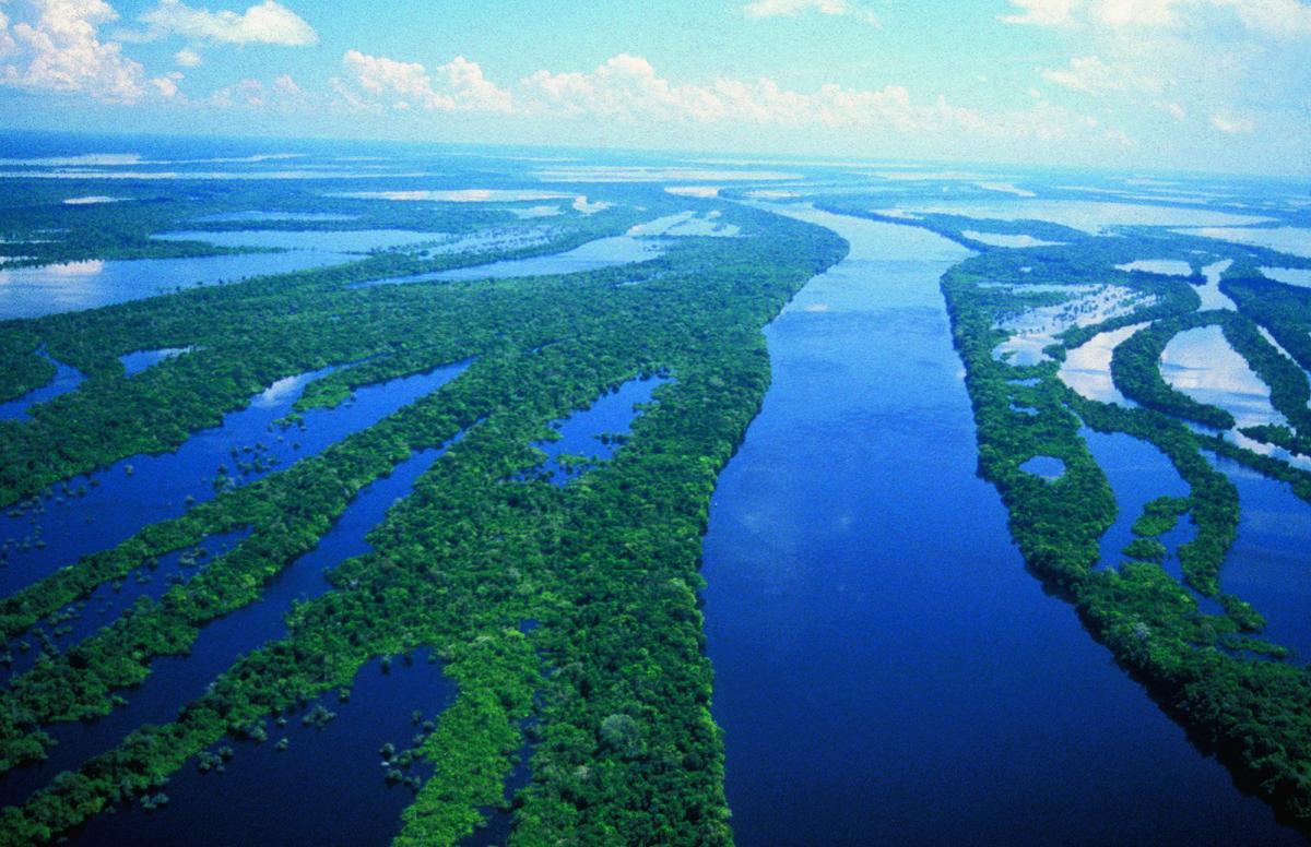 Arquipélogo de Anavilhanas, no Rio Negro (AM) | © Roberto Linsker