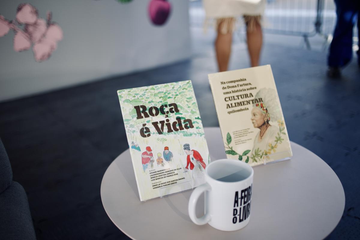 publicações quilombolas