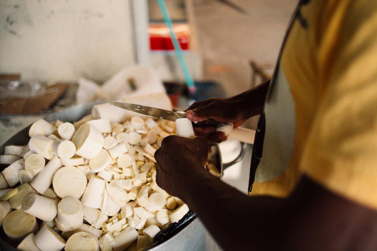 Palmito, um dos alimentos cultivados no Sistema Agrícola Tradicional dos Quilombolas do Vale do Ribeira