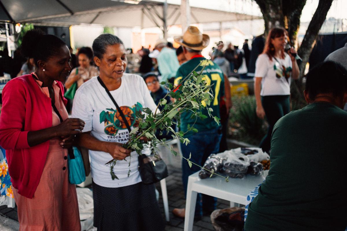 feira de mudas e sementes quilombolas