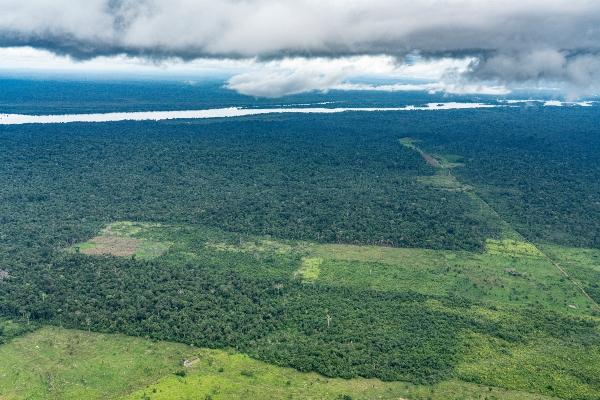 Imagem de sobrevoo pela TI Cachoeira Seca e pelo Rio Iriri