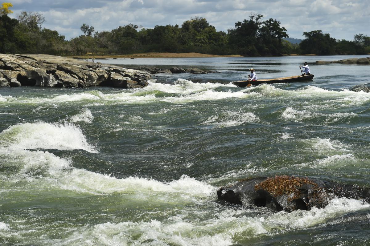 volta grande do xingu