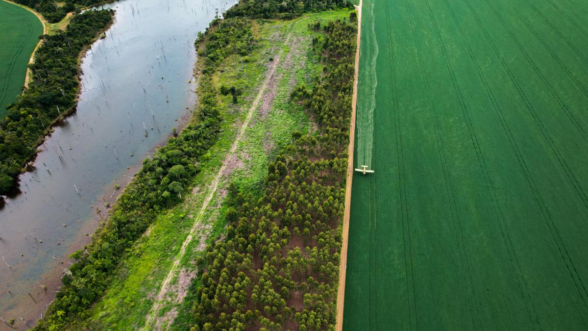 Imagem aérea mostra avião jogando agrotóxico em plantação de monocultura