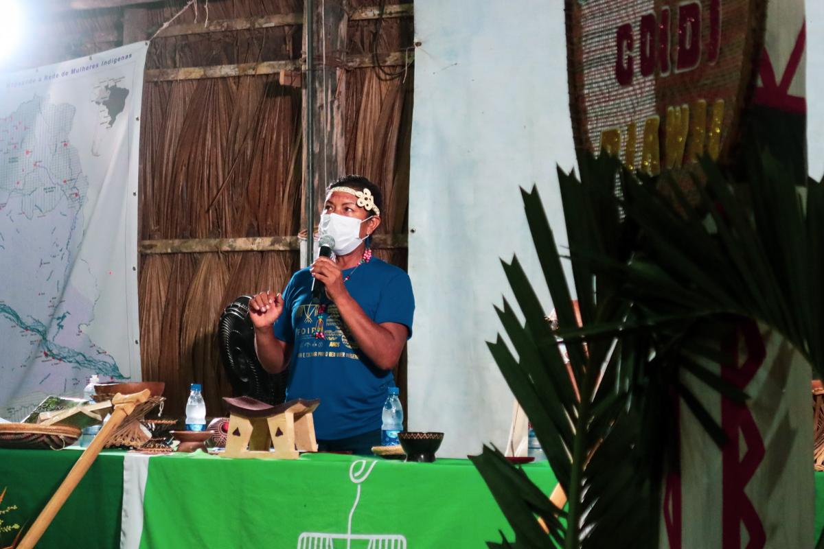 Almerinda Ramos de Lima, do povo Tariana, foi a primeira mulher eleita para a presidência da entidade (2013–2016)