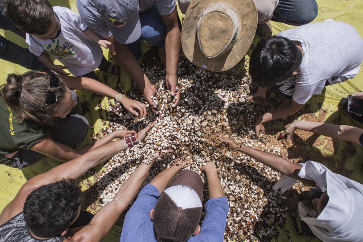 Funcionários do ISA de Canarana e da Rede de Sementes do Xingu preparando muvuca de sementes