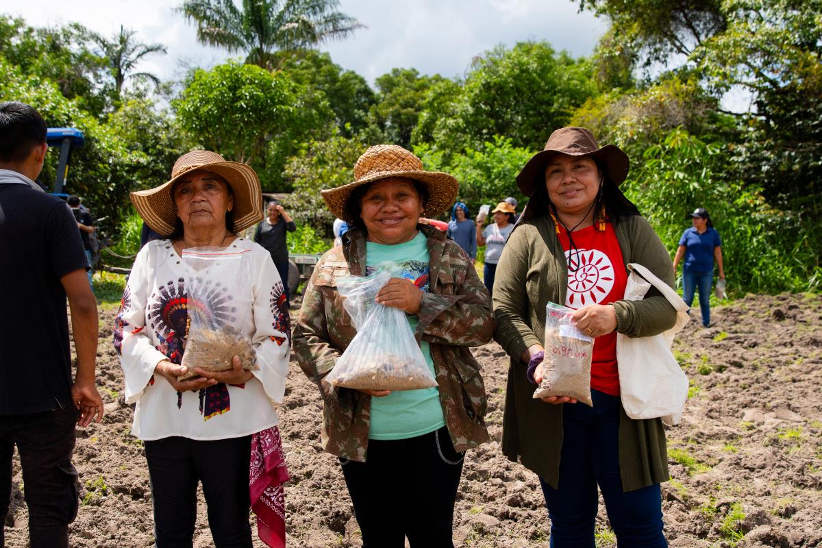 mulheres coletoras de roraima