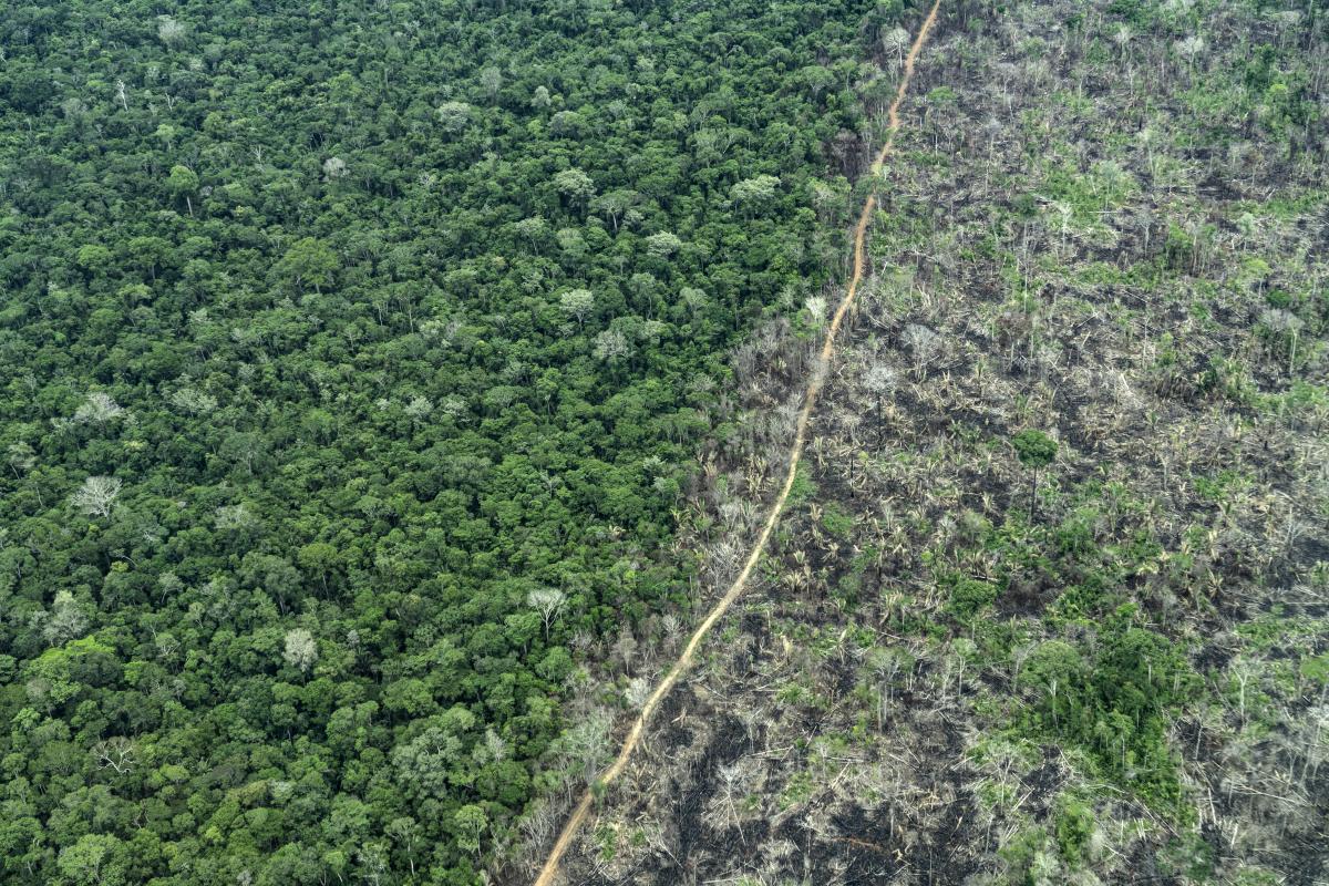 Sobrevôo sobre a Terra Indígena Piripikura, que sofre invasão ilegal de grileiros, madeireiros e criadores de gado, Juína, MT
