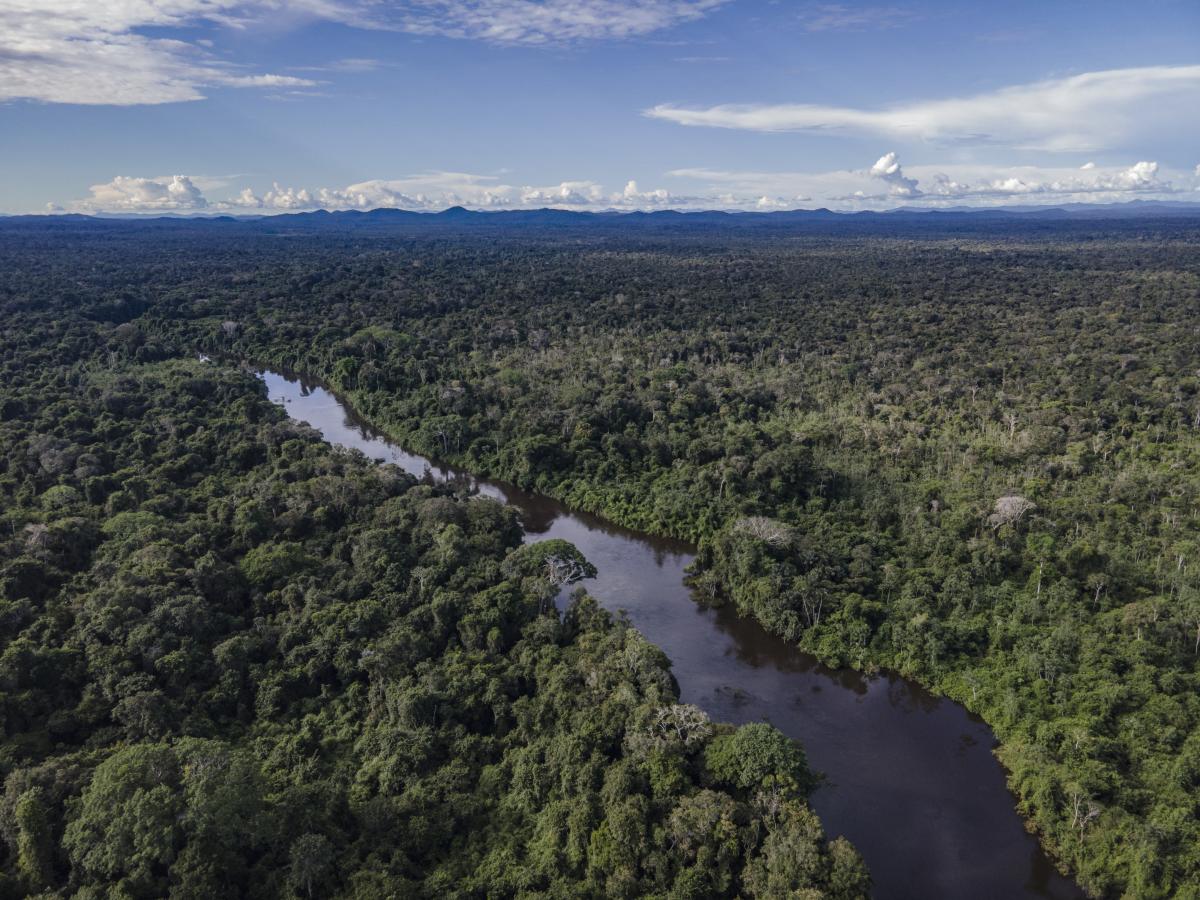 Sobrevoo pela aldeia Jatapuzinho