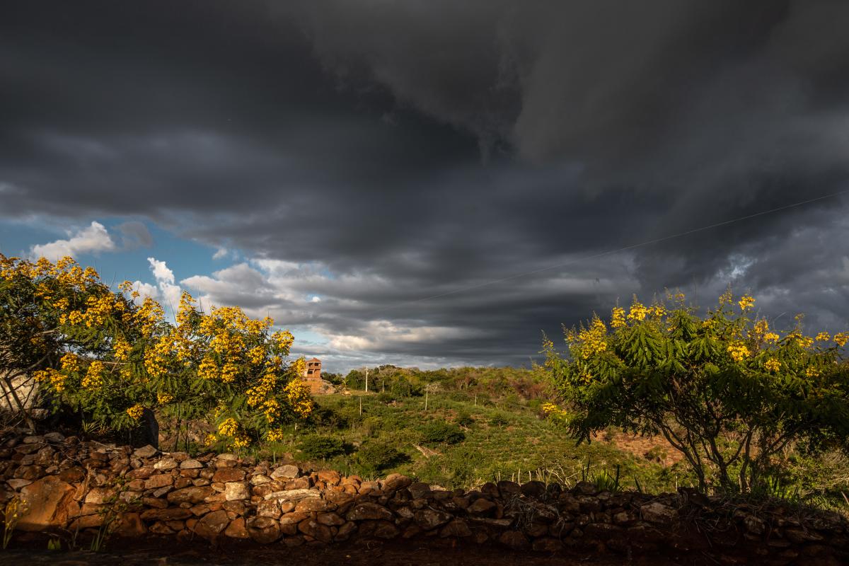 Paisagem da Caatinga