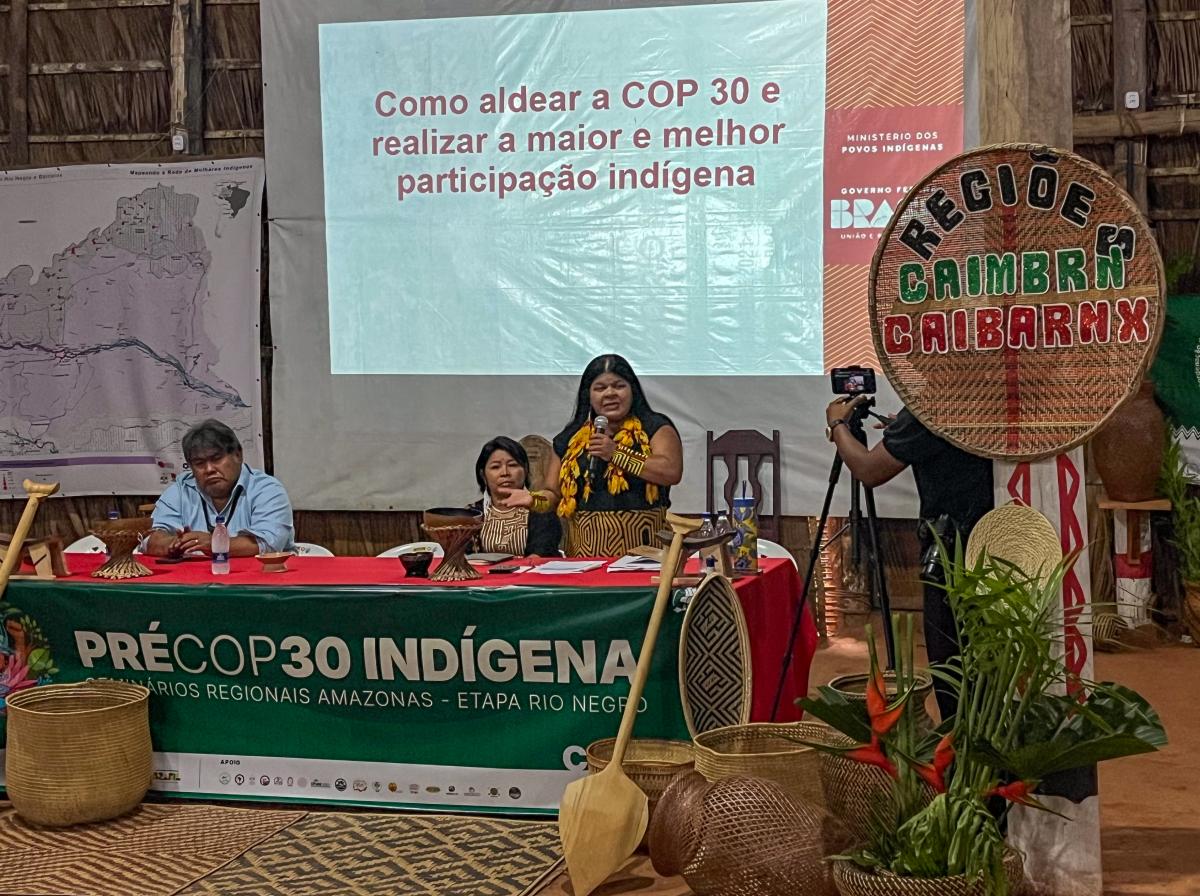 ministra sonia guajajara