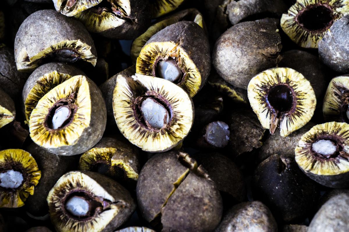 Feira vai contar com grande diversidade de frutas tradicionais