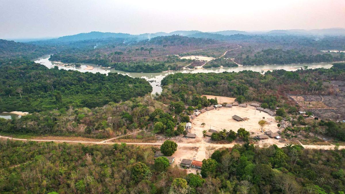 Terra Indígena Baú, no sudoeste do Pará, já é bastante pressionada e a situação tende a piorar com a construção da Ferrogrão | Alberto César Araújo / Amazônia Real