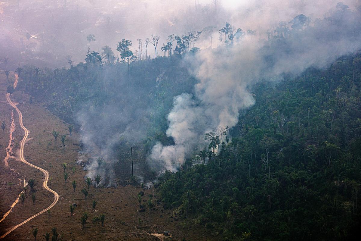 Áreas protegidas no sudoeste do Pará já são pressionadas por atividades predatórias induzidas pela rodovia BR-163 e a tendência é que a situação piore com a construção da Ferrogrão. Queimada no Parque Nacional do Jamanxim (PA) provocada por invasores | Marizilda Cruppe / Amazônia Real