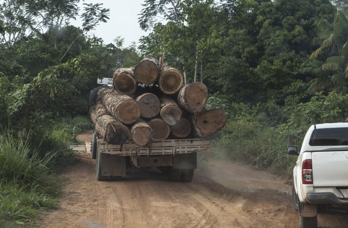 Imagem mostra transporte ilegal de madeira na região da TI Cachoeira Seca