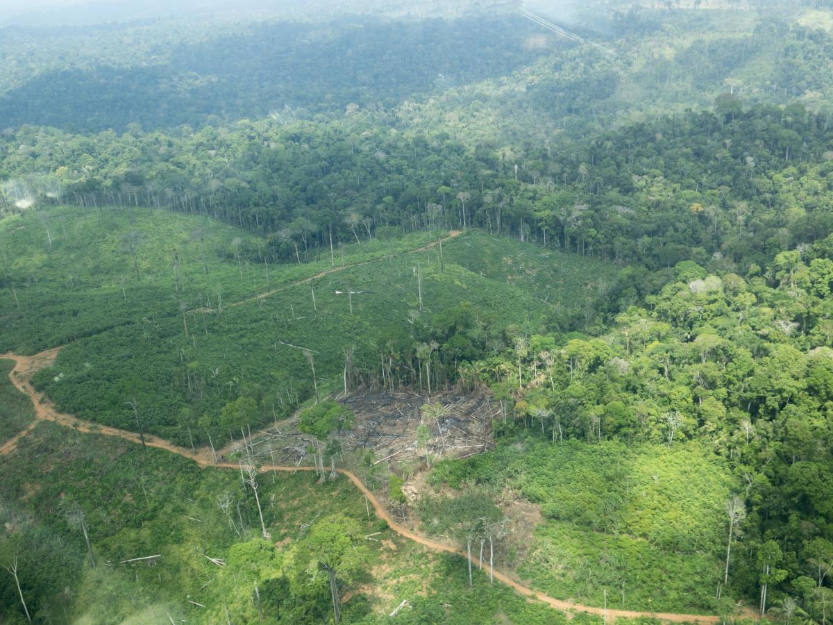 Área desmatada na Terra Indígena Cachoeira Seca do Iriri (PA)