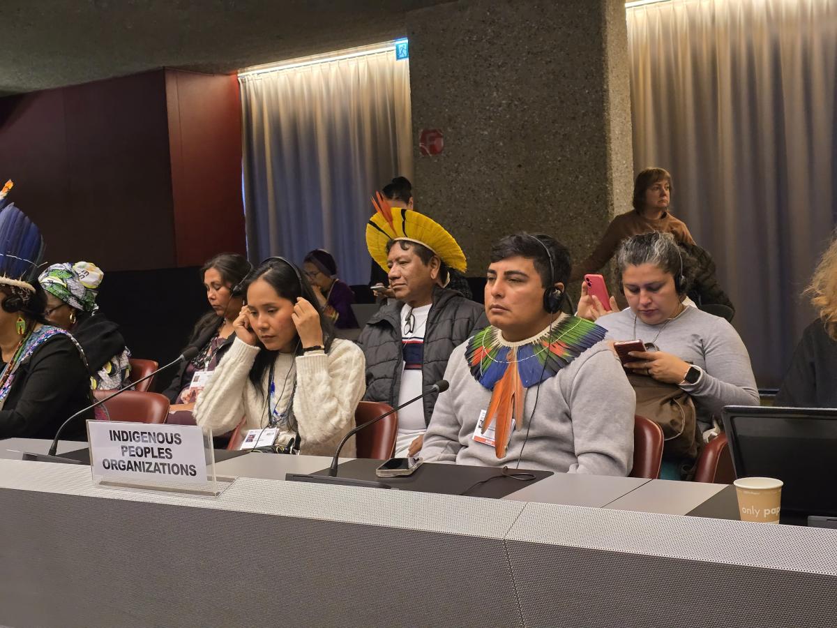 Lideranças da Aliança pela defesa dos Territórios – formada por representantes dos povos Kayapó, Munduruku e Yanomami – participaram da Sexta Conferência das Partes da Convenção de Minamata sobre Mercúrio (COP-6)