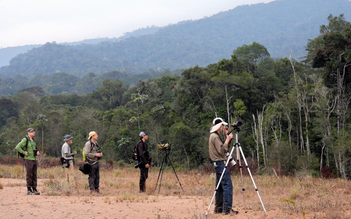 Turistas em expedição experimental 