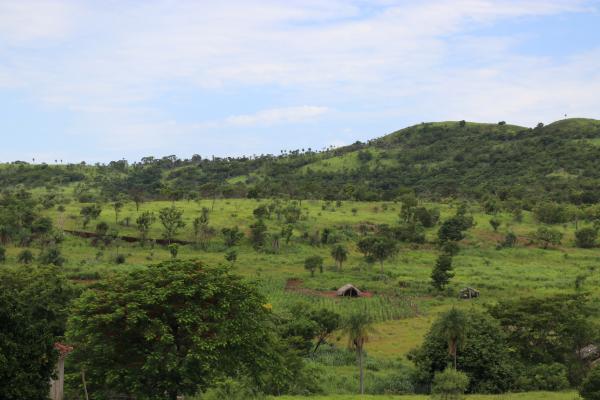 Terra Indígena Ñande Ru Marangatu | Rafael Nakamura / RAIS